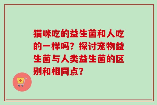 猫咪吃的益生菌和人吃的一样吗？探讨宠物益生菌与人类益生菌的区别和相同点？