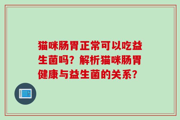 猫咪肠胃正常可以吃益生菌吗？解析猫咪肠胃健康与益生菌的关系？