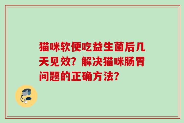 猫咪软便吃益生菌后几天见效？解决猫咪肠胃问题的正确方法？
