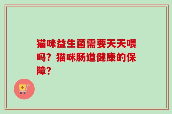 猫咪益生菌需要天天喂吗？猫咪肠道健康的保障？