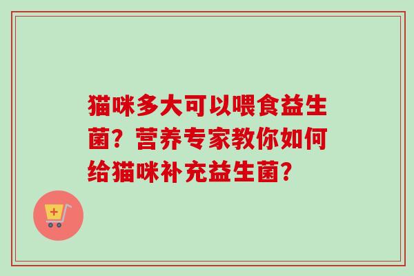 猫咪多大可以喂食益生菌？营养专家教你如何给猫咪补充益生菌？