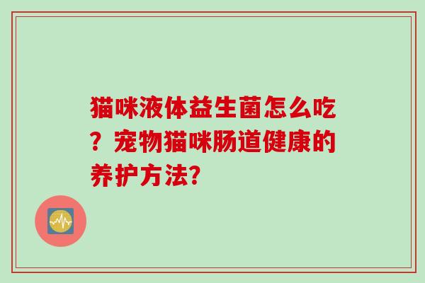 猫咪液体益生菌怎么吃？宠物猫咪肠道健康的养护方法？