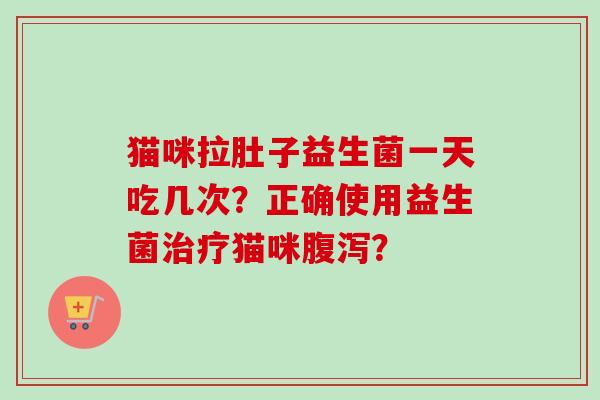 猫咪拉肚子益生菌一天吃几次？正确使用益生菌猫咪？
