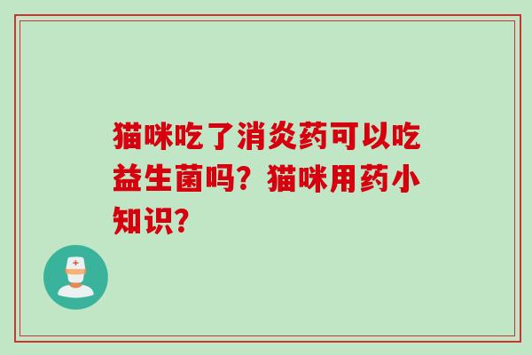猫咪吃了药可以吃益生菌吗？猫咪用药小知识？
