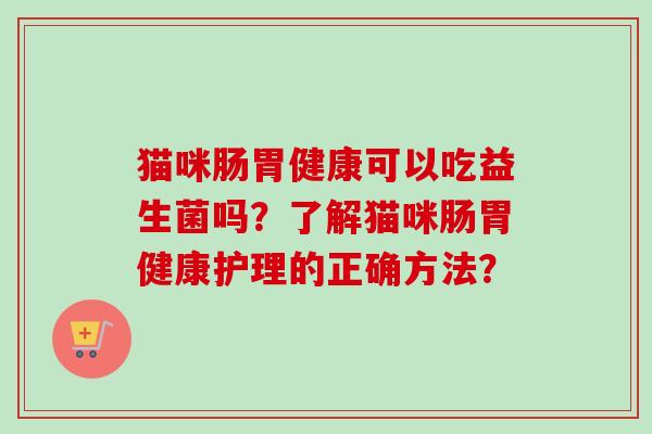 猫咪肠胃健康可以吃益生菌吗？了解猫咪肠胃健康护理的正确方法？
