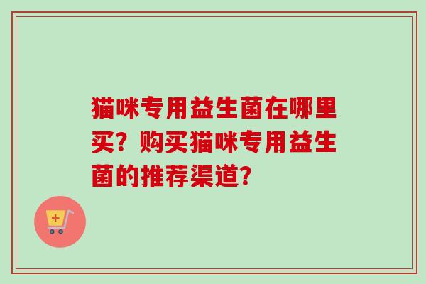 猫咪专用益生菌在哪里买？购买猫咪专用益生菌的推荐渠道？