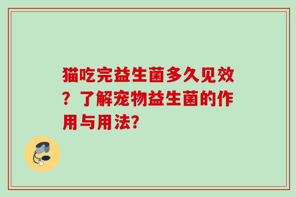 猫吃完益生菌多久见效？了解宠物益生菌的作用与用法？