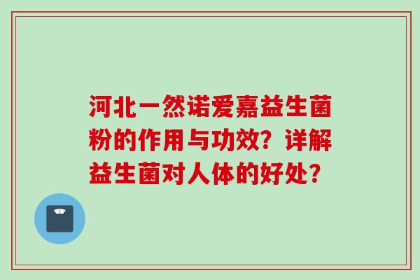 河北一然诺爱嘉益生菌粉的作用与功效？详解益生菌对人体的好处？