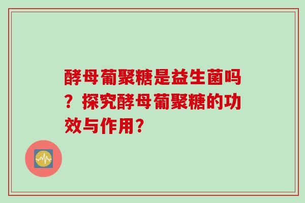 酵母葡聚糖是益生菌吗？探究酵母葡聚糖的功效与作用？