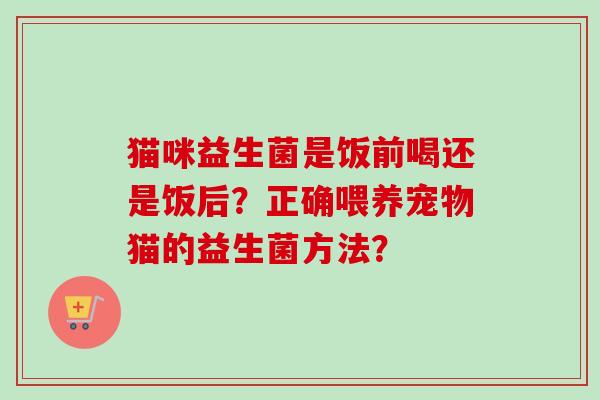 猫咪益生菌是饭前喝还是饭后？正确喂养宠物猫的益生菌方法？