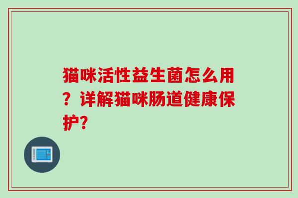 猫咪活性益生菌怎么用?详解猫咪肠道健康保护? 猫咪活性益生菌怎么用?详解猫咪肠道健康保护?