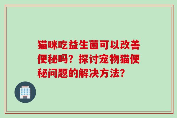 猫咪吃益生菌可以改善吗？探讨宠物猫问题的解决方法？