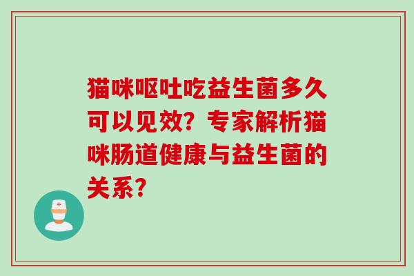 猫咪吃益生菌多久可以见效？专家解析猫咪肠道健康与益生菌的关系？