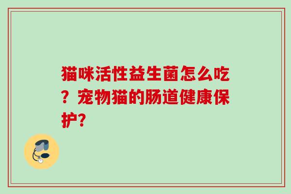 猫咪活性益生菌怎么吃?宠物猫的肠道健康保护? 猫咪活性益生菌怎么吃?宠物猫的肠道健康保护?