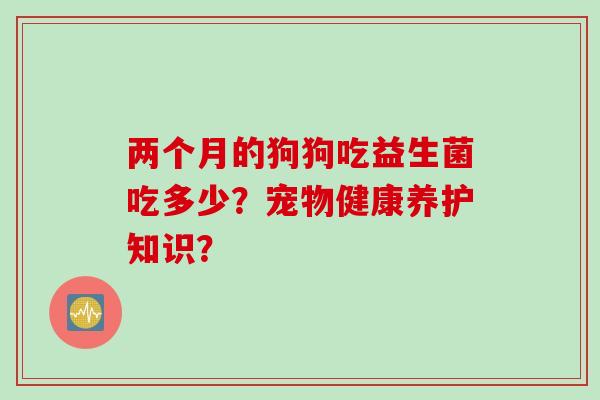 两个月的狗狗吃益生菌吃多少？宠物健康养护知识？