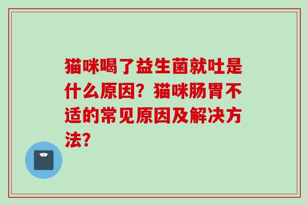 猫咪喝了益生菌就吐是什么原因？猫咪肠胃不适的常见原因及解决方法？