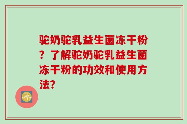 驼奶驼乳益生菌冻干粉？了解驼奶驼乳益生菌冻干粉的功效和使用方法？