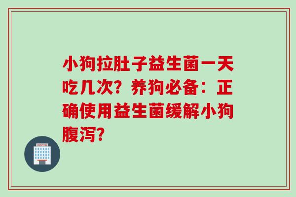 小狗拉肚子益生菌一天吃几次？养狗必备：正确使用益生菌缓解小狗？
