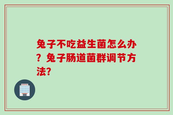 兔子不吃益生菌怎么办?兔子肠道菌群调节方法? 兔子不吃益生菌怎么办?兔子肠道菌群调节方法?