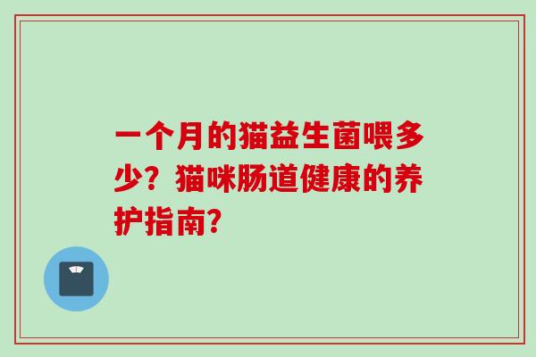 一个月的猫益生菌喂多少？猫咪肠道健康的养护指南？