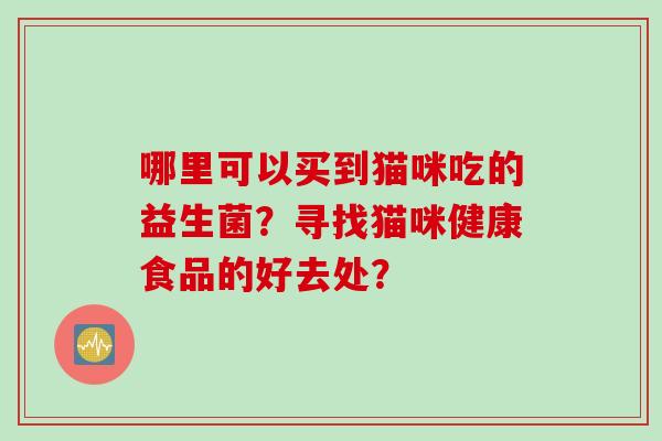 哪里可以买到猫咪吃的益生菌？寻找猫咪健康食品的好去处？