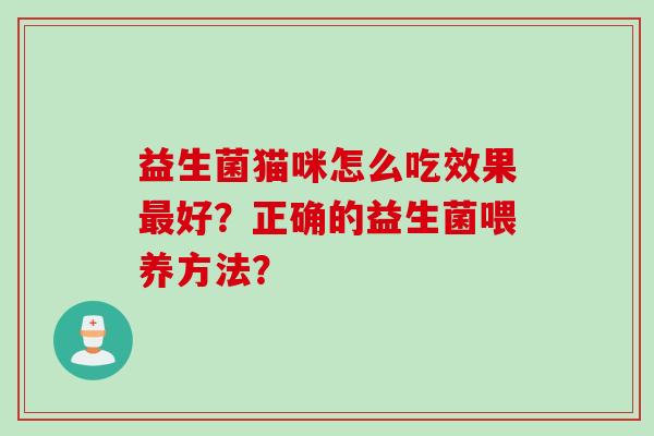益生菌猫咪怎么吃效果最好？正确的益生菌喂养方法？