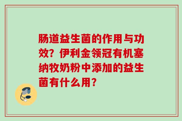 肠道益生菌的作用与功效？伊利金领冠有机塞纳牧奶粉中添加的益生菌有什么用？