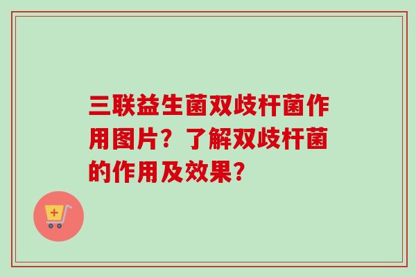 三联益生菌双歧杆菌作用图片？了解双歧杆菌的作用及效果？