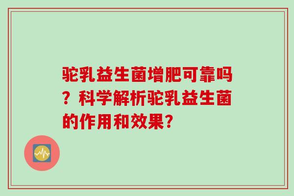 驼乳益生菌增肥可靠吗？科学解析驼乳益生菌的作用和效果？
