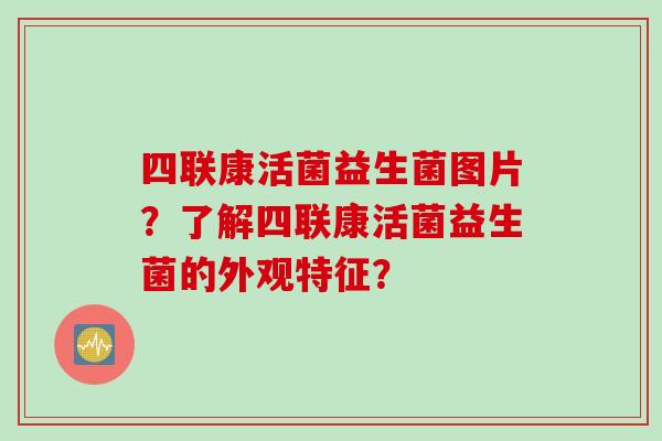 四联康活菌益生菌图片？了解四联康活菌益生菌的外观特征？