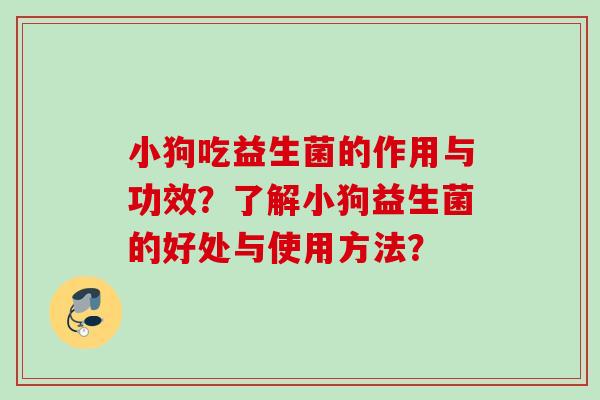 小狗吃益生菌的作用与功效？了解小狗益生菌的好处与使用方法？