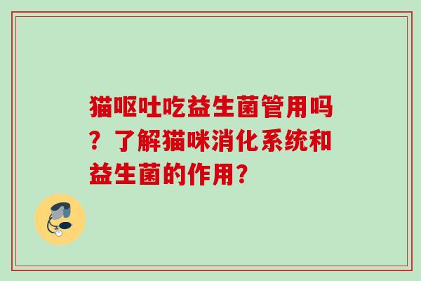 猫吃益生菌管用吗？了解猫咪消化系统和益生菌的作用？