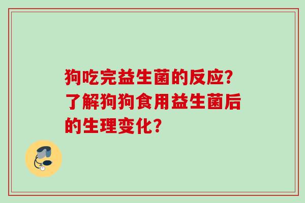 狗吃完益生菌的反应？了解狗狗食用益生菌后的生理变化？