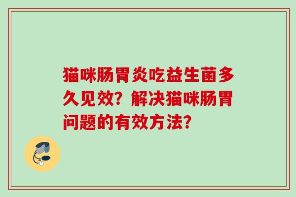 猫咪肠吃益生菌多久见效?解决猫咪肠胃问题的有效方法? 猫咪肠吃益生菌多久见效?解决猫咪肠胃问题的有效方法?