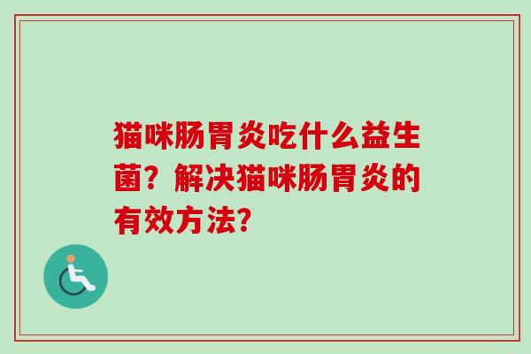 猫咪肠吃什么益生菌？解决猫咪肠的有效方法？