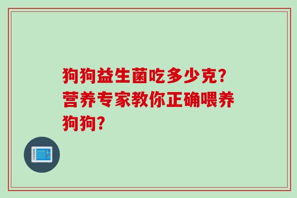 狗狗益生菌吃多少克？营养专家教你正确喂养狗狗？