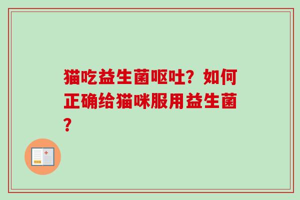猫吃益生菌？如何正确给猫咪服用益生菌？