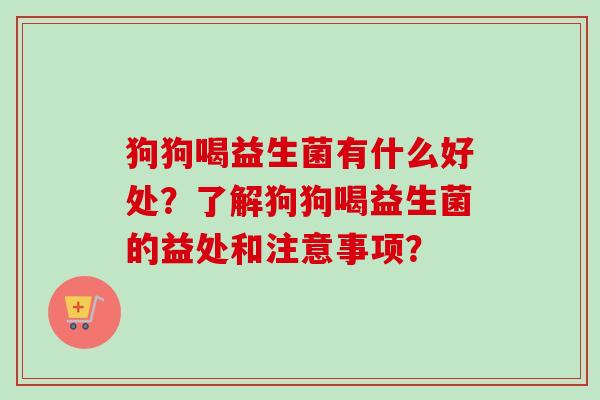 狗狗喝益生菌有什么好处?了解狗狗喝益生菌的益处和注意事项? 狗狗喝益生菌有什么好处?了解狗狗喝益生菌的益处和注意事项?