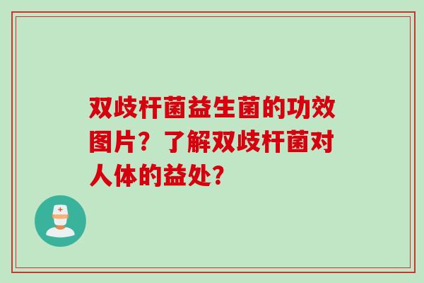 双歧杆菌益生菌的功效图片?了解双歧杆菌对人体的益处? 双歧杆菌益生菌的功效图片?了解双歧杆菌对人体的益处?