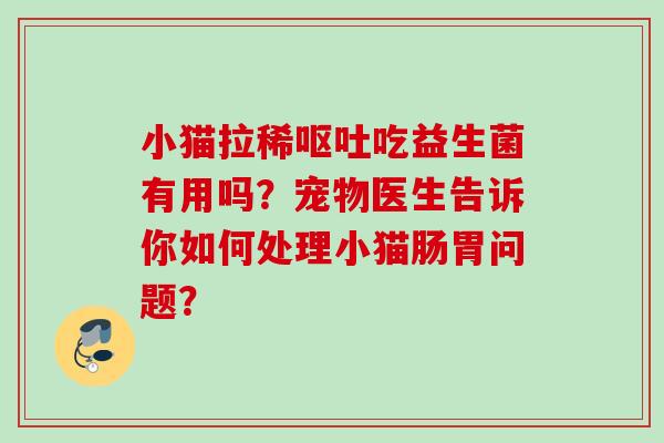 小猫拉稀吃益生菌有用吗?宠物医生告诉你如何处理小猫肠胃问题? 小猫拉稀吃益生菌有用吗?宠物医生告诉你如何处理小猫肠胃问题?