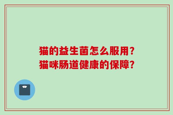 猫的益生菌怎么服用?猫咪肠道健康的保障? 猫的益生菌怎么服用?猫咪肠道健康的保障?