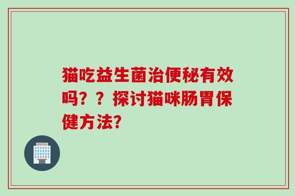 猫吃益生菌有效吗？？探讨猫咪肠胃保健方法？
