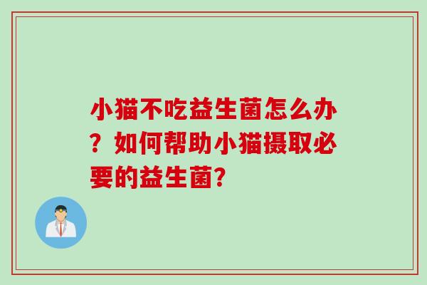 小猫不吃益生菌怎么办？如何帮助小猫摄取必要的益生菌？