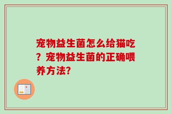 宠物益生菌怎么给猫吃？宠物益生菌的正确喂养方法？
