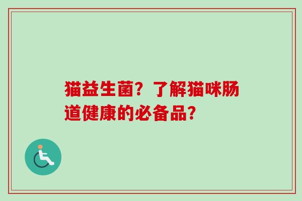 猫益生菌？了解猫咪肠道健康的必备品？
