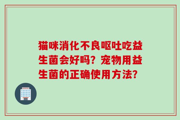 猫咪吃益生菌会好吗？宠物用益生菌的正确使用方法？
