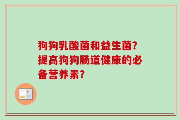 狗狗乳酸菌和益生菌？提高狗狗肠道健康的必备营养素？