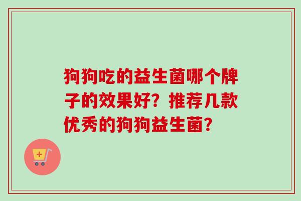 狗狗吃的益生菌哪个牌子的效果好？推荐几款优秀的狗狗益生菌？