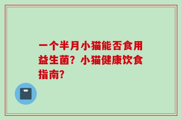 一个半月小猫能否食用益生菌？小猫健康饮食指南？