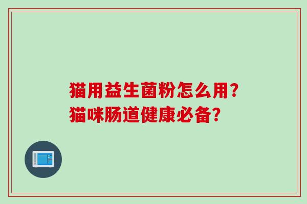 猫用益生菌粉怎么用？猫咪肠道健康必备？